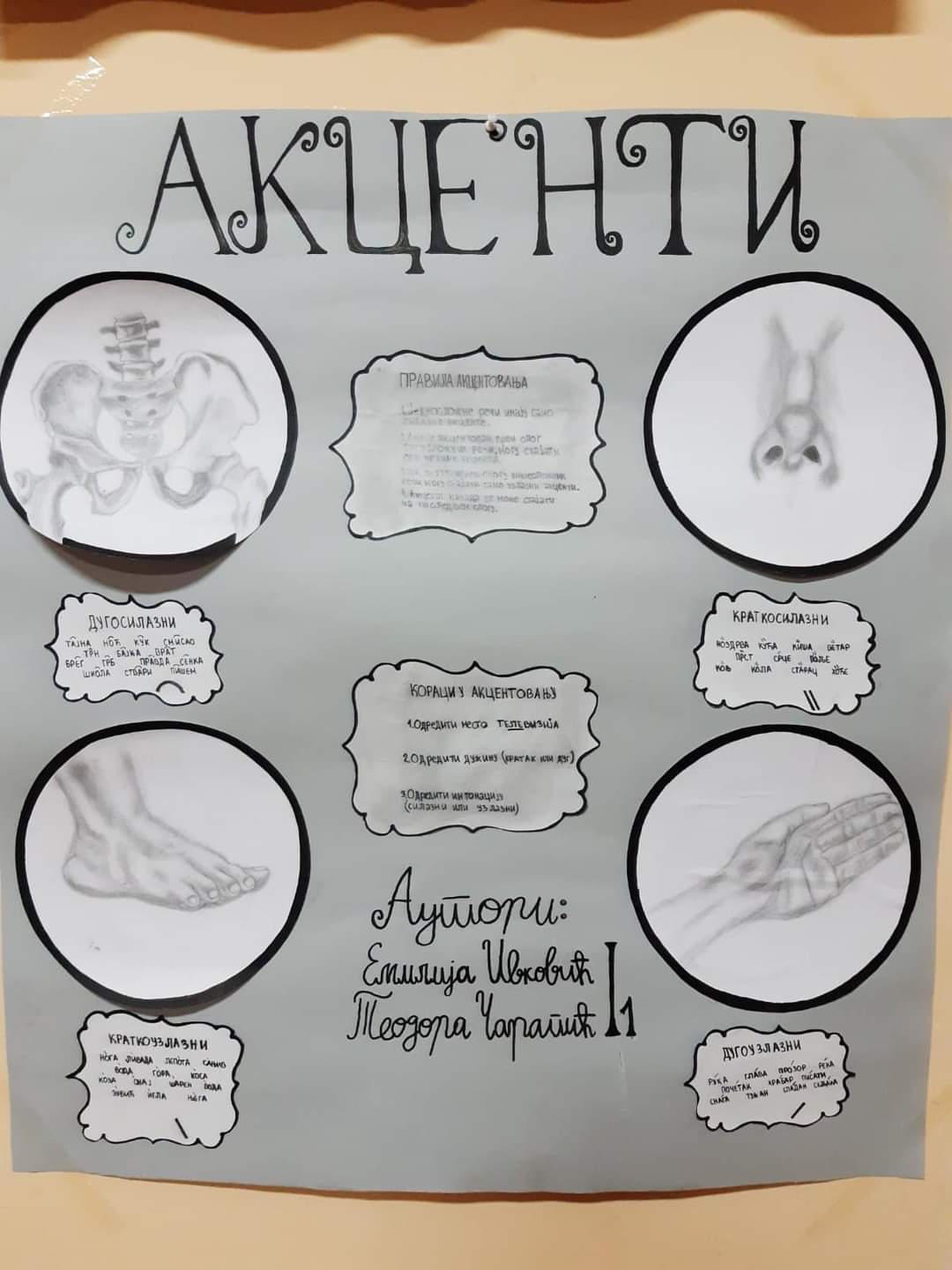 viber_slika_2023-03-29_11-22-51-581