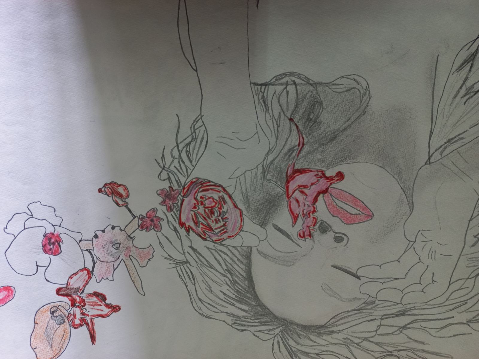 viber_slika_2023-06-14_11-21-21-183