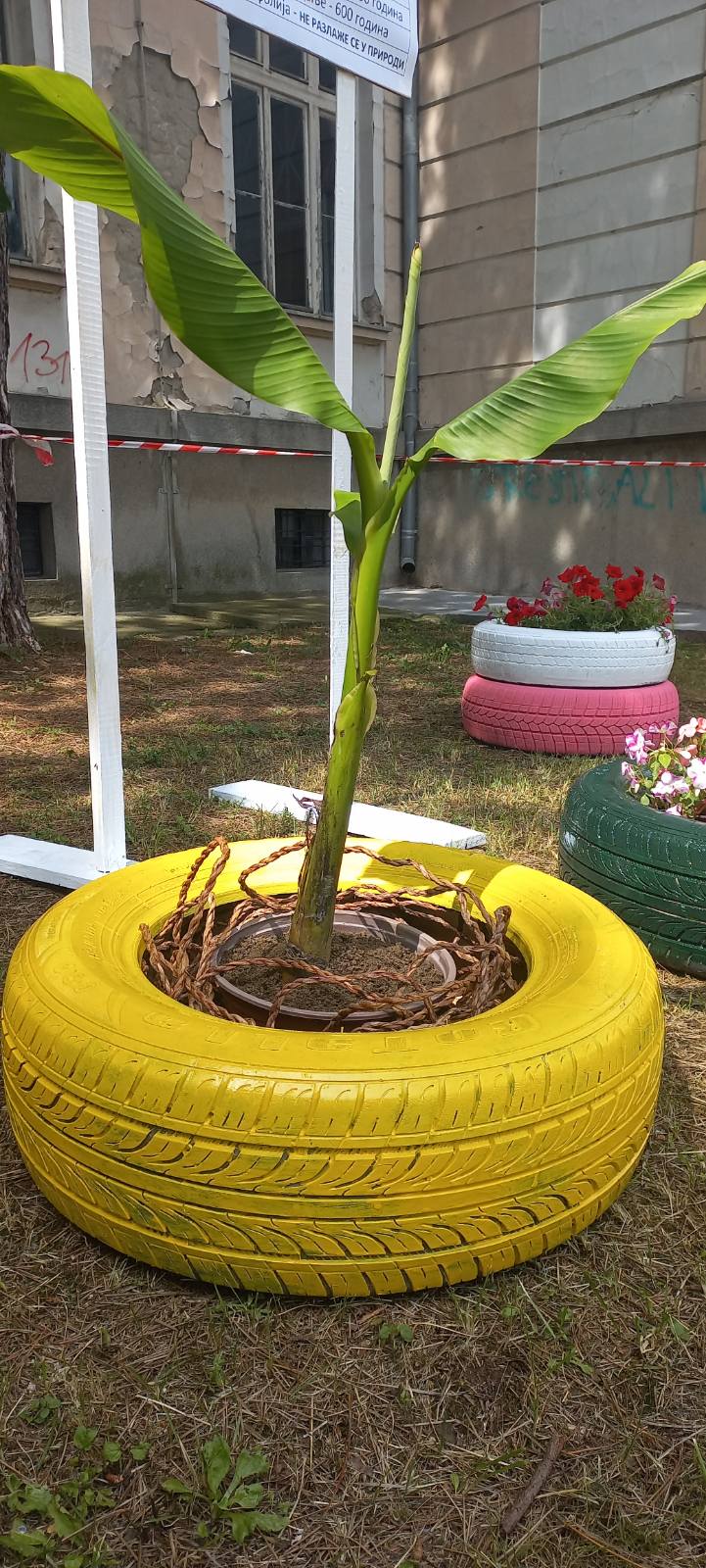 viber_slika_2023-06-14_11-39-22-549