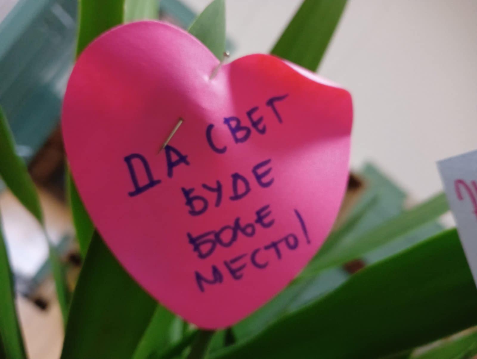 viber_slika_2024-01-11_22-08-39-206