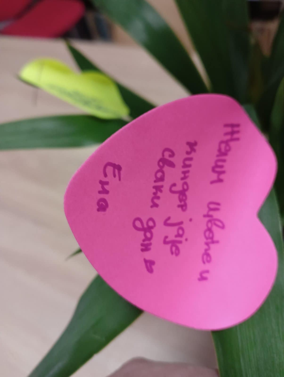 viber_slika_2024-01-11_22-08-41-044