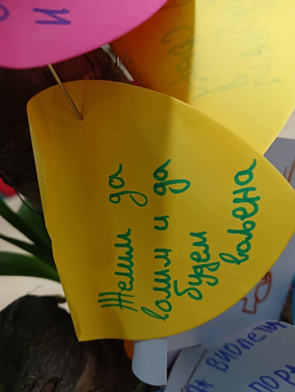 viber_slika_2024-01-11_22-08-43-614