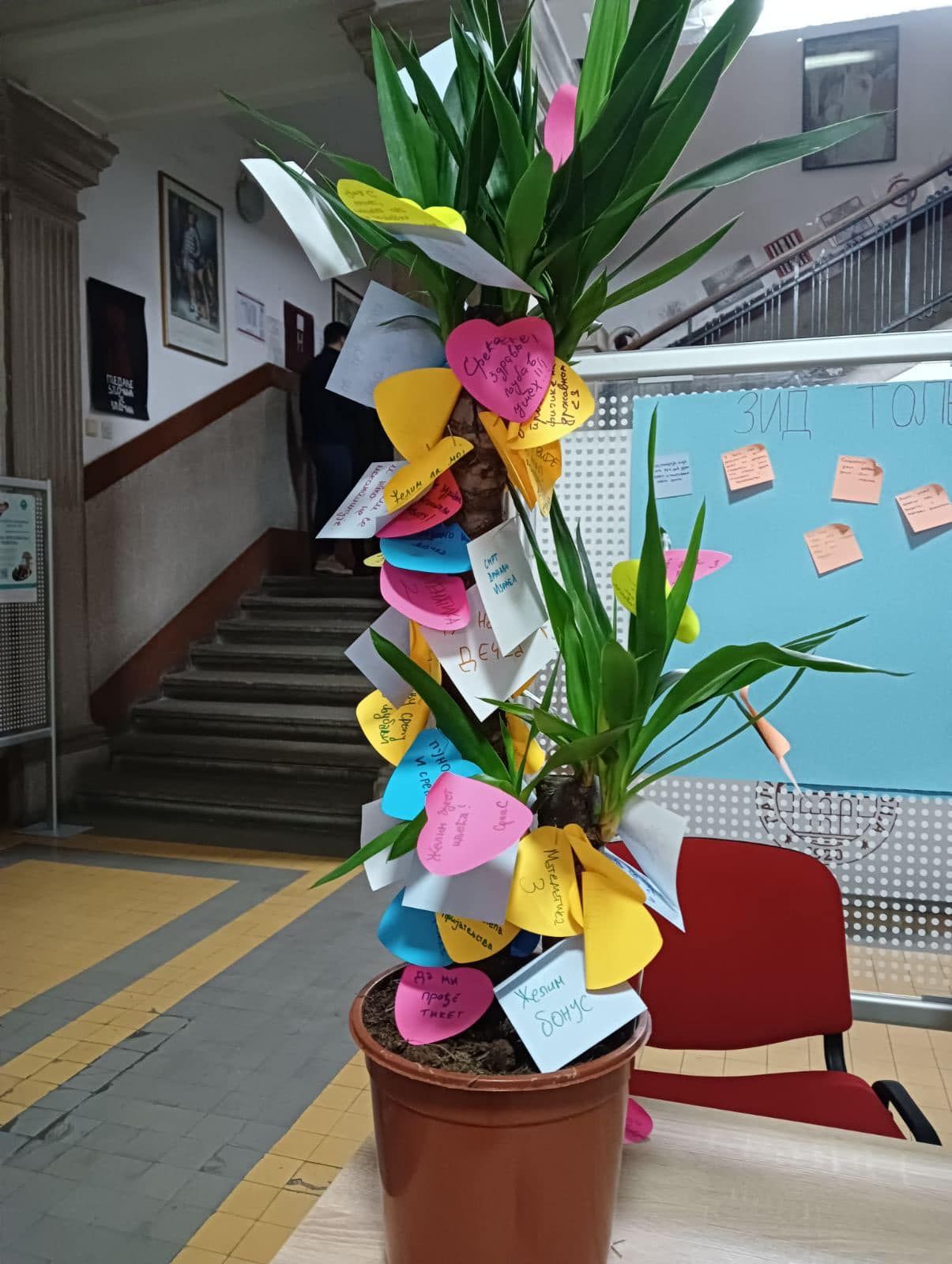 viber_slika_2024-01-11_22-08-46-831