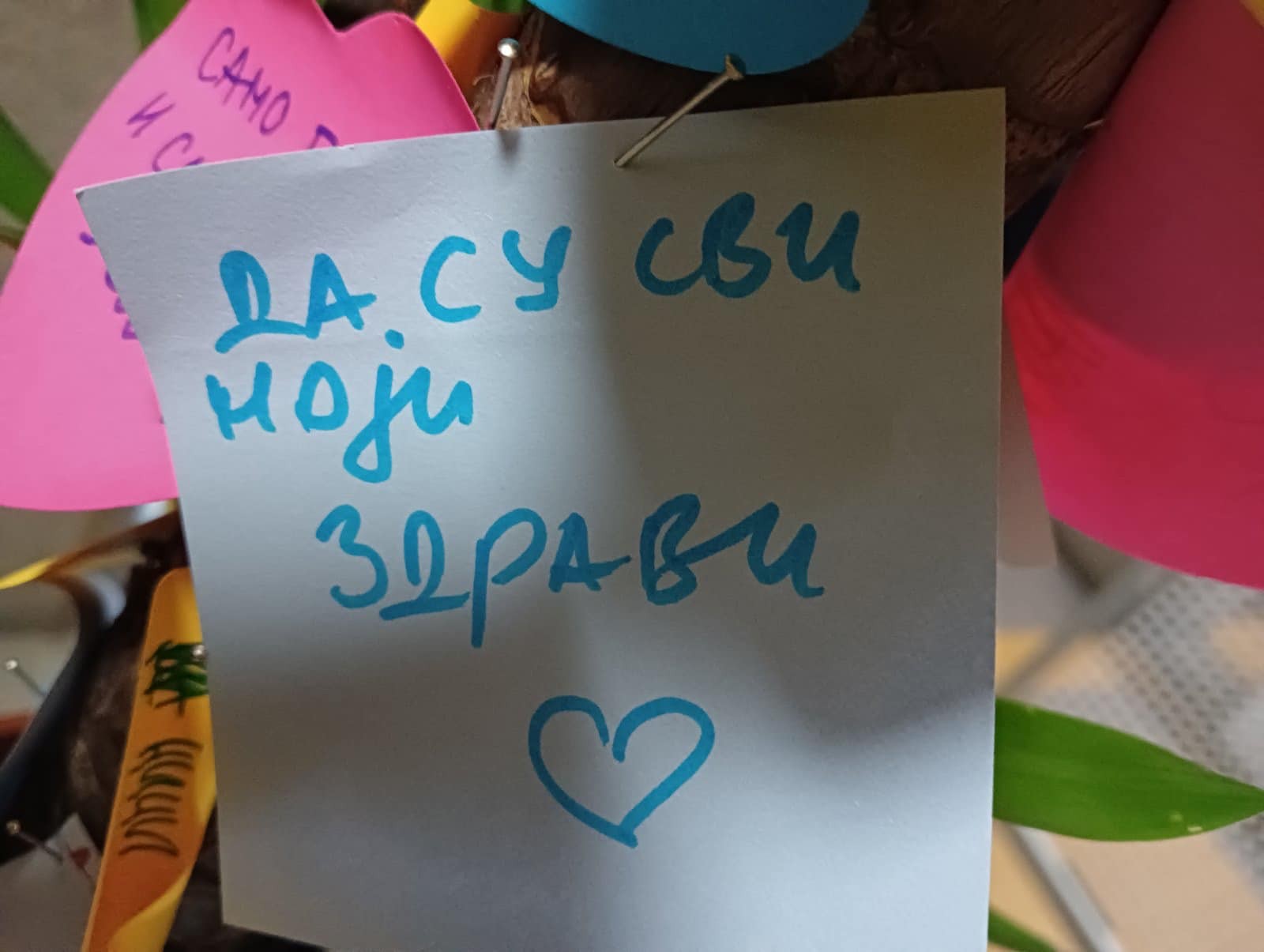 viber_slika_2024-01-11_22-08-48-908