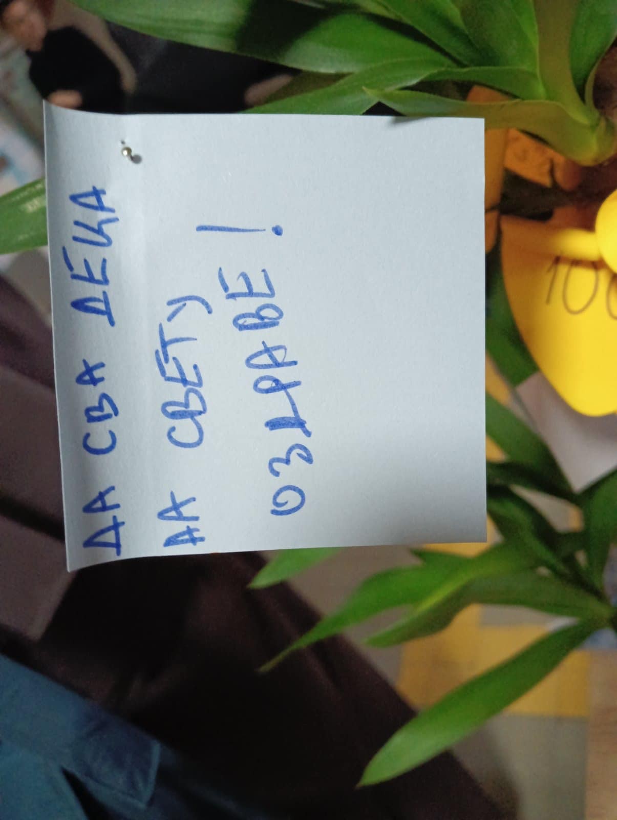 viber_slika_2024-01-11_22-08-51-246