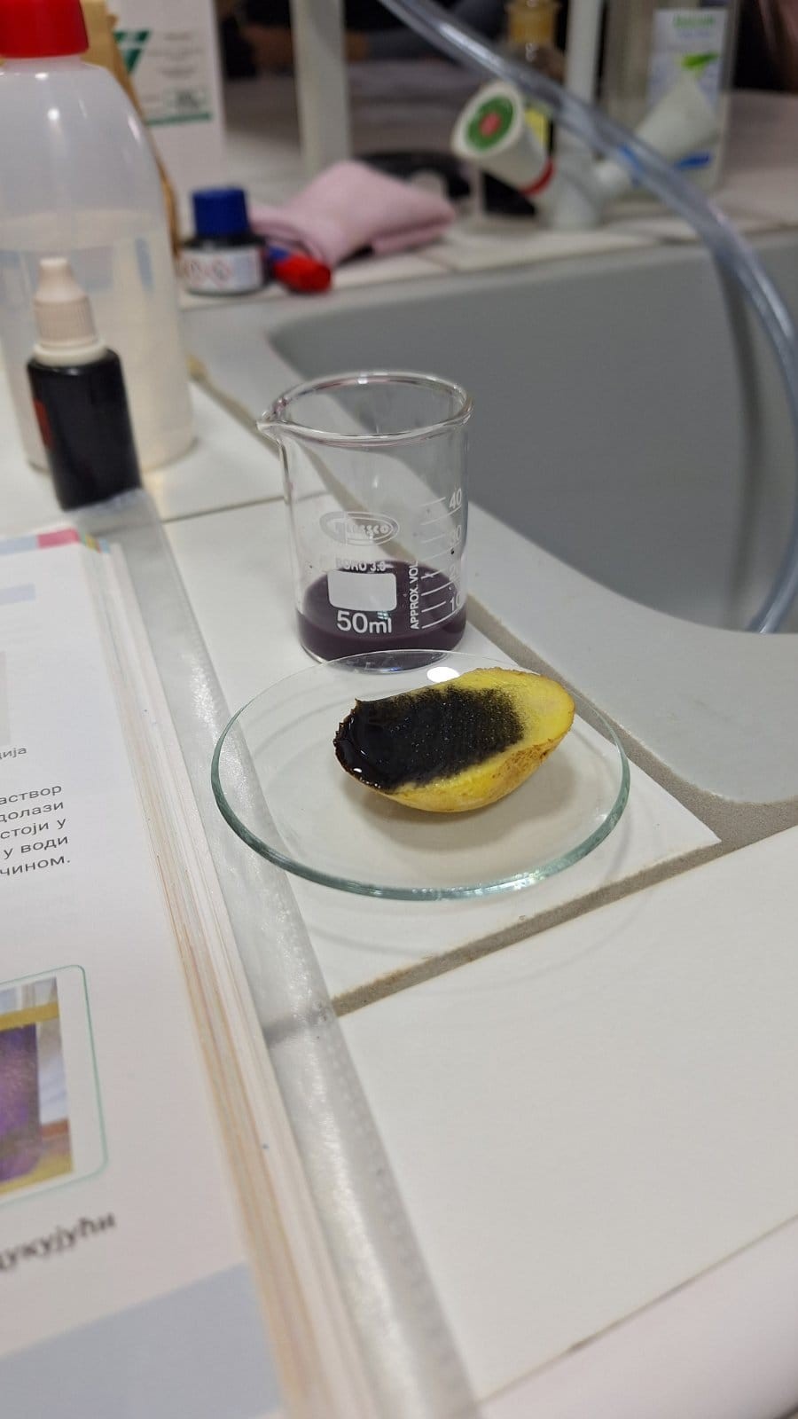 viber_slika_2024-02-13_23-17-51-658