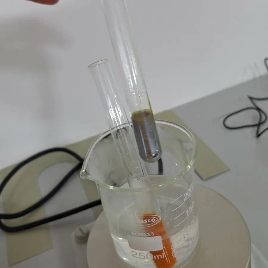 viber_slika_2024-02-13_23-17-53-867