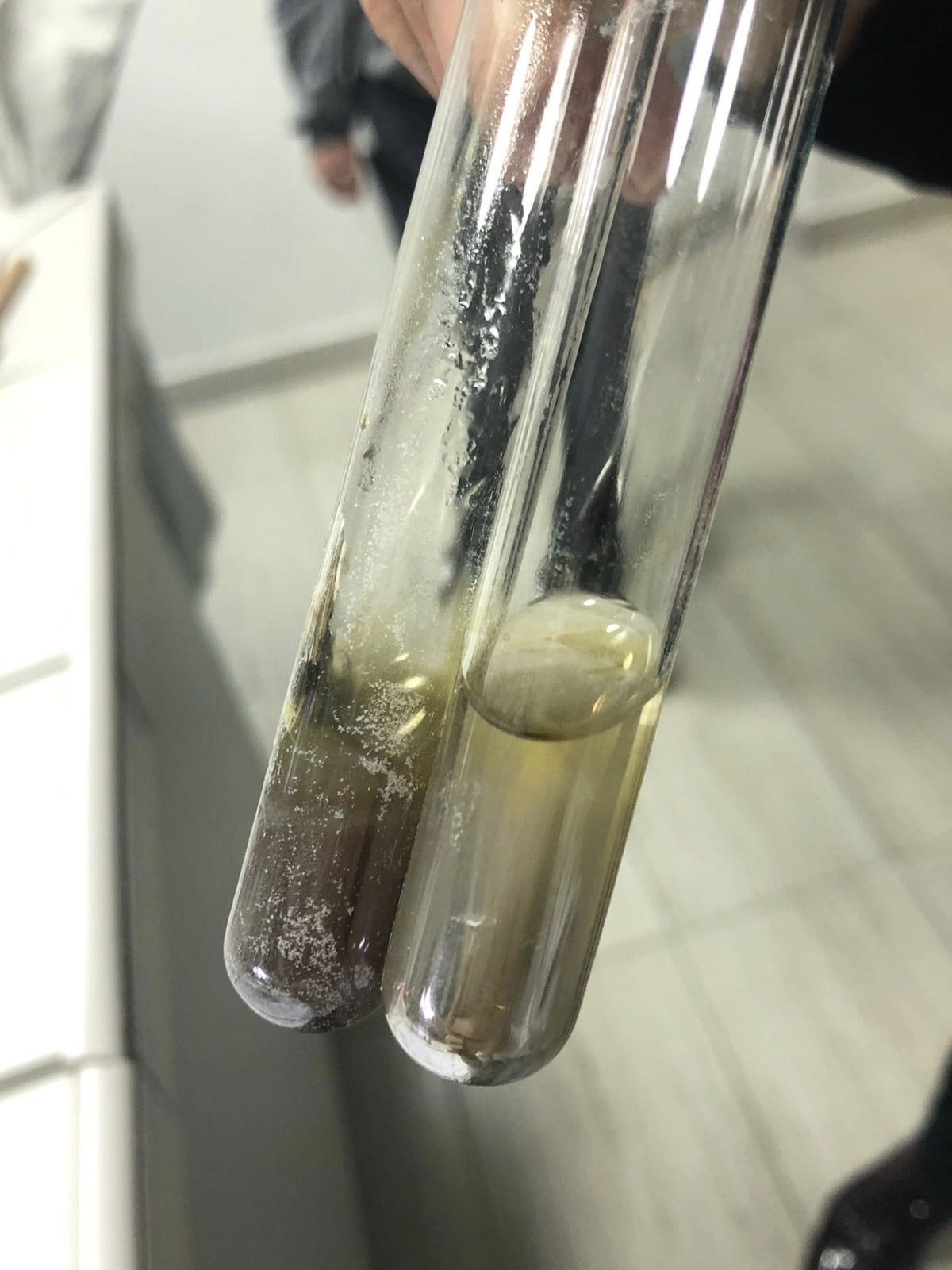 viber_slika_2024-02-13_23-18-05-437