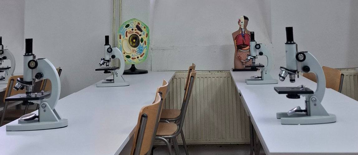 505413637_697042753067583_1193378614813053911_n