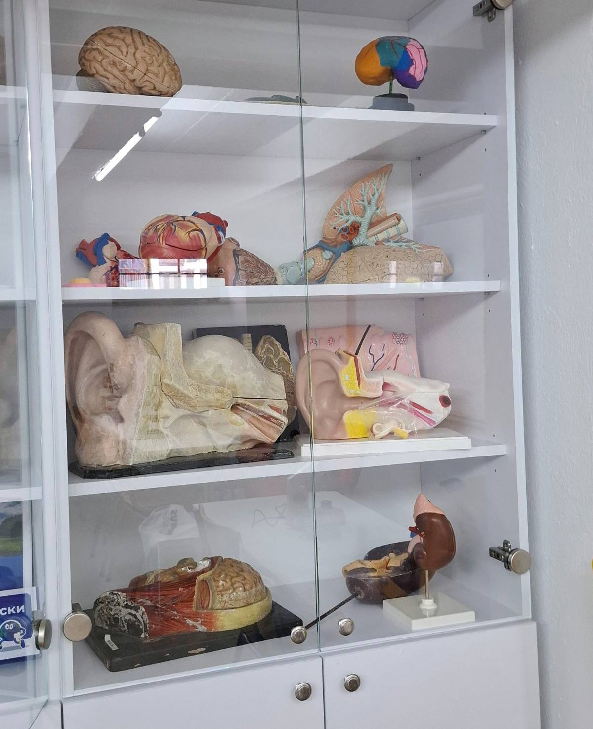 505423403_697043246400867_7628724440800354011_n