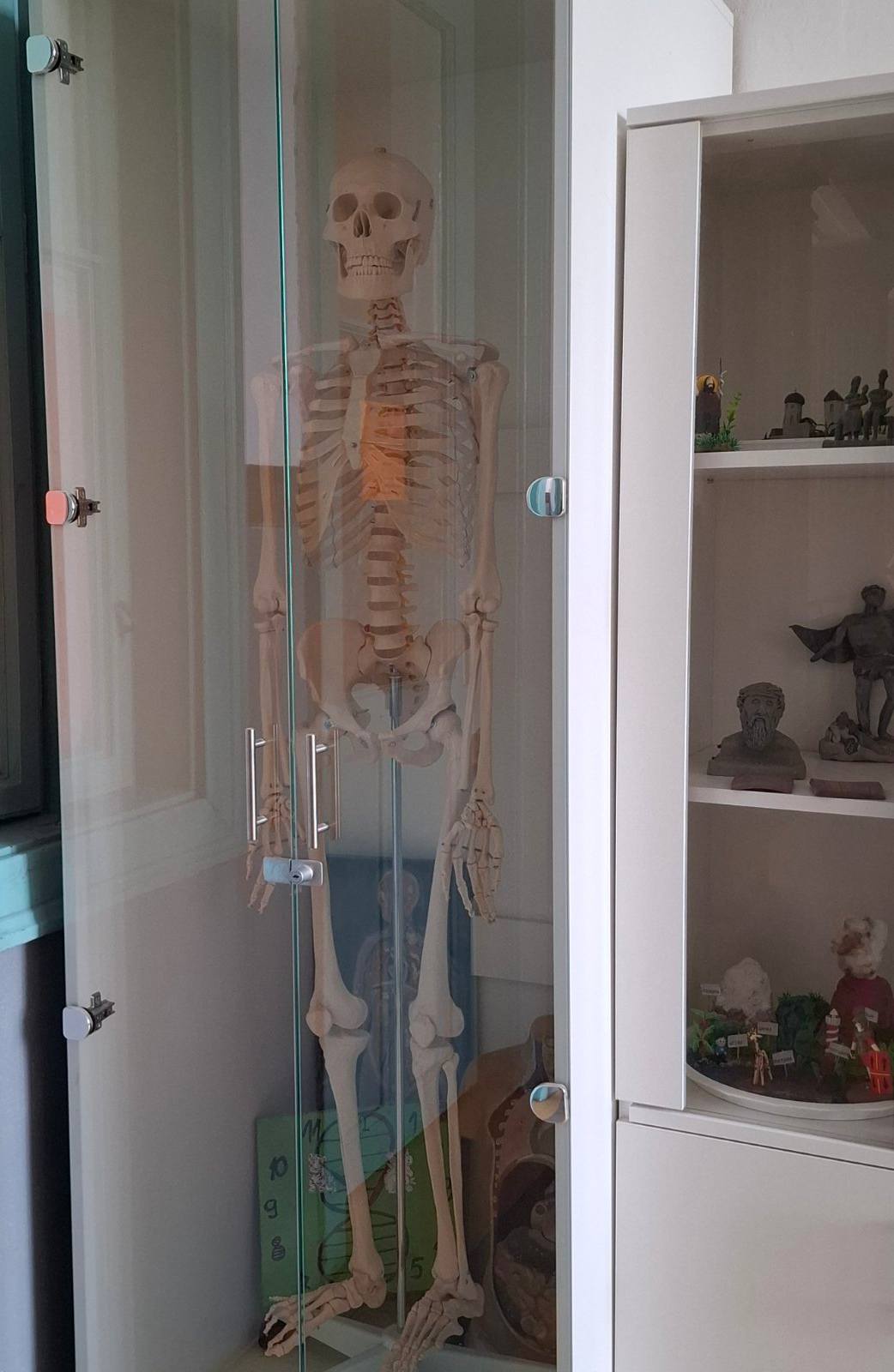 505455258_697042979734227_5651888418149636392_n