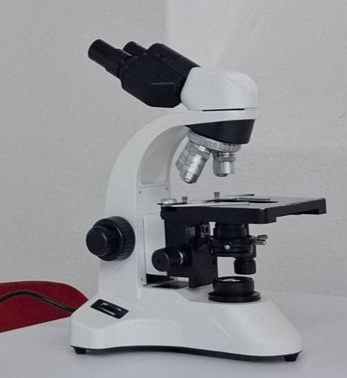 505574631_697042926400899_7562433526190211434_n