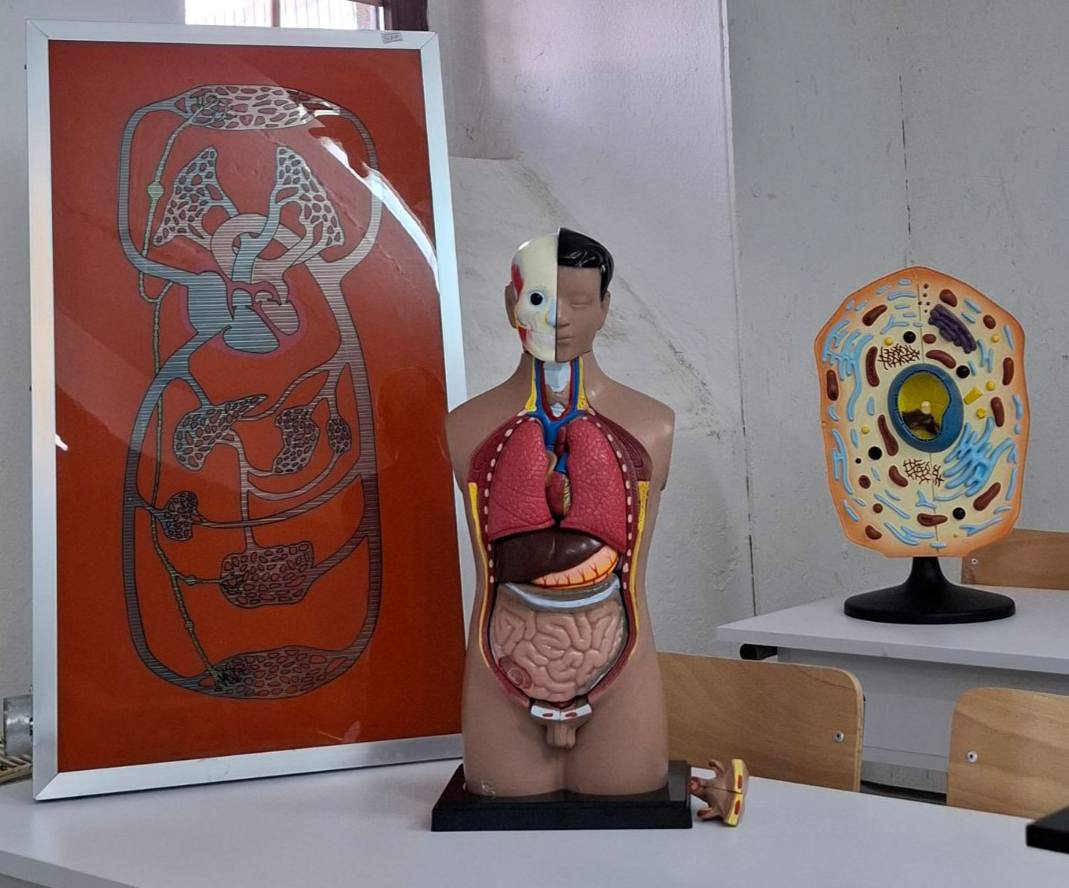 505758642_697042599734265_1834239709693388243_n