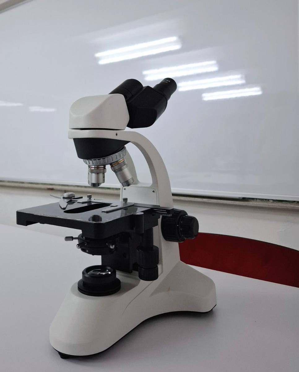 505779449_697042709734254_2807635597417628501_n