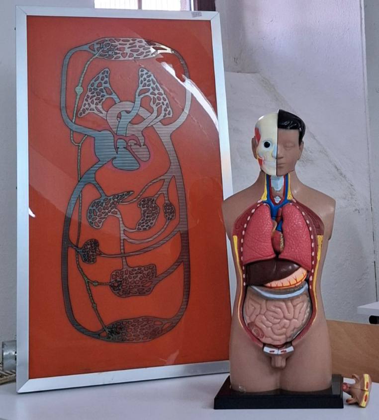 505869003_697042896400902_121639566288558711_n