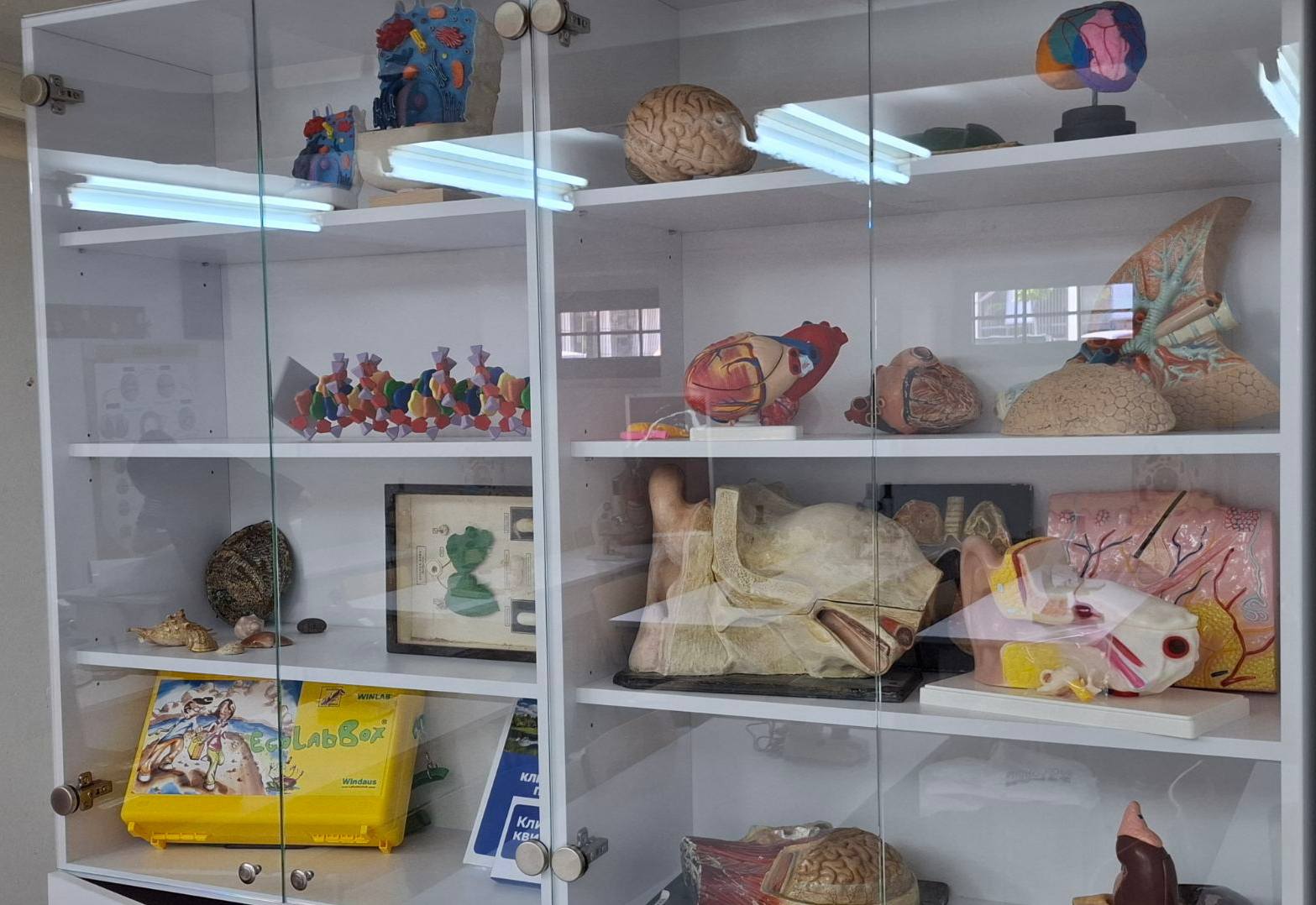 506251871_697042399734285_4482560434071638566_n