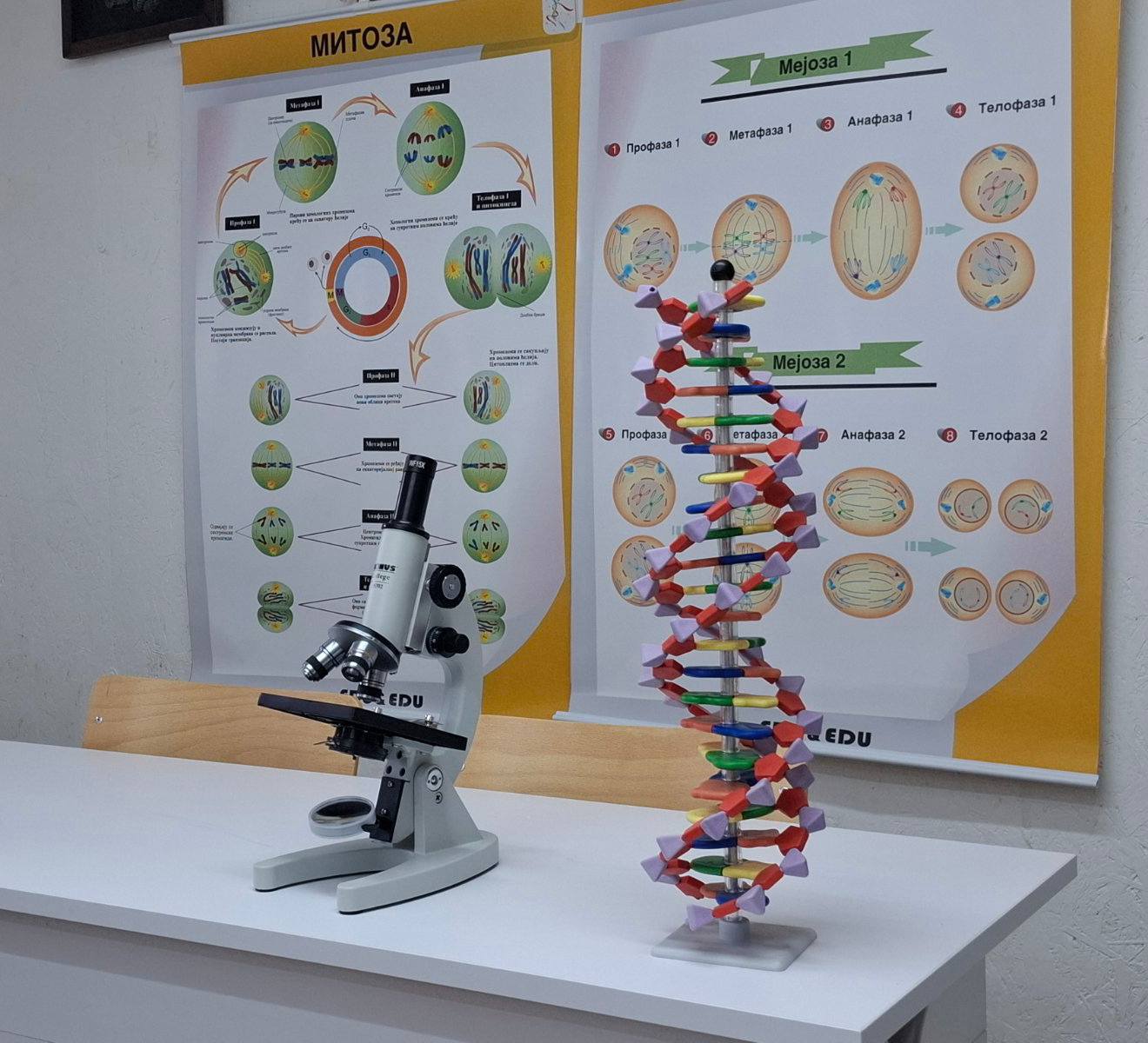 506435574_697042803067578_3534342157314878022_n